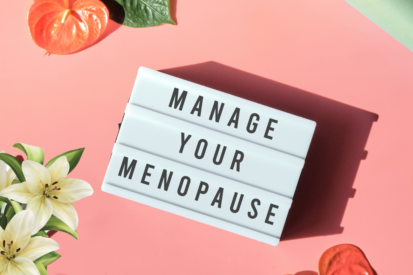 cosa mangiare in menopausa benefici dieta a basso indice glicemico